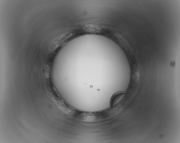X0000112520658200908311358
