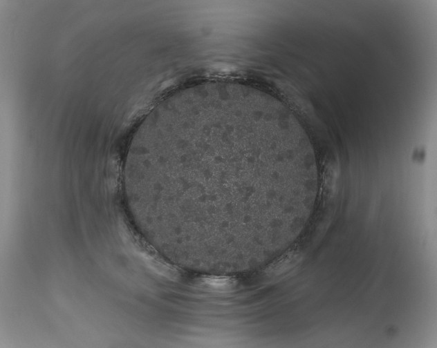 X0000112520659200908311358