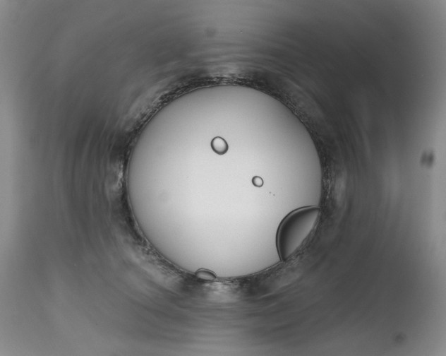 X0000112520660200908311358