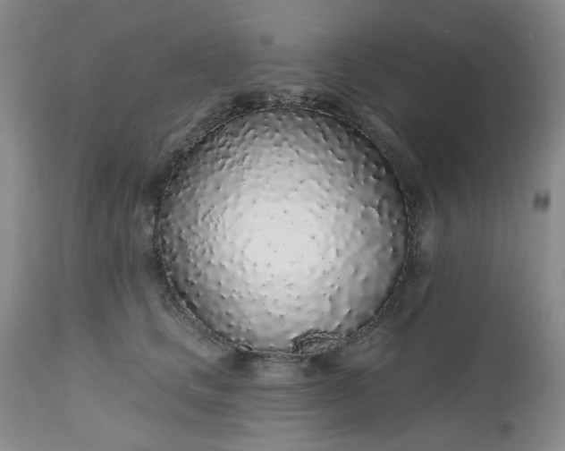 X0000112520661200908311358