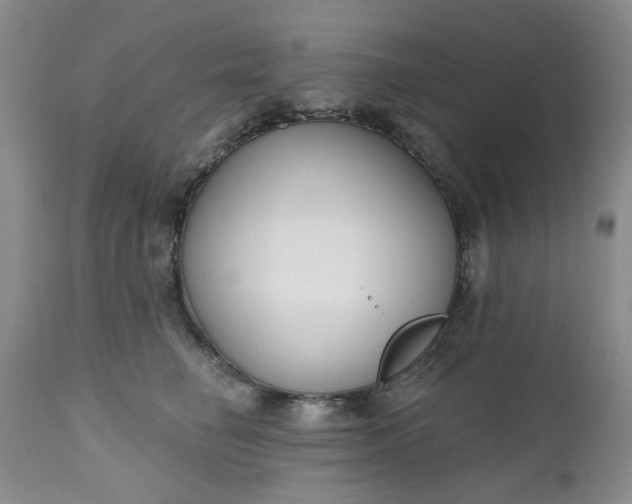 X0000112520662200908311358
