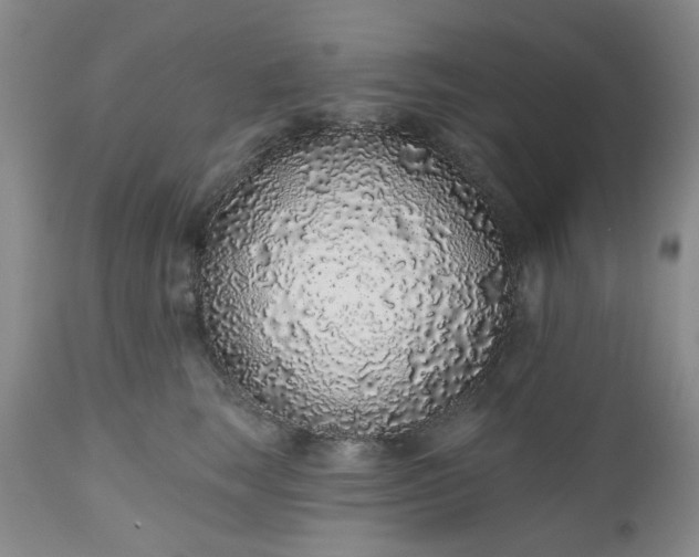 X0000112520663200908311358