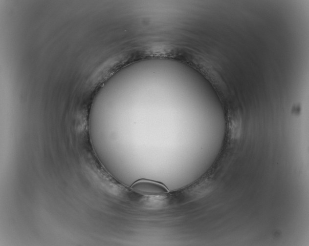 X0000112520665200908311358