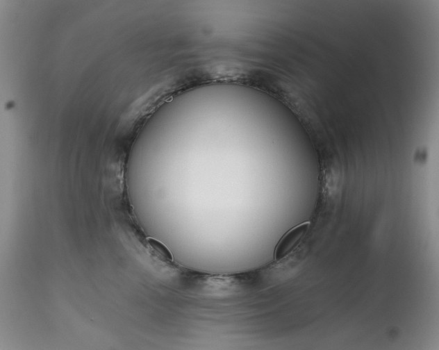 X0000112520666200908311358