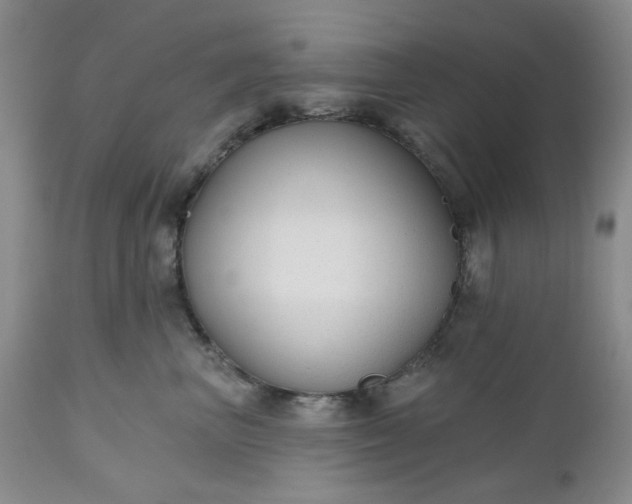 X0000112520667200908311358