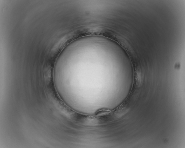 X0000112520668200908311358