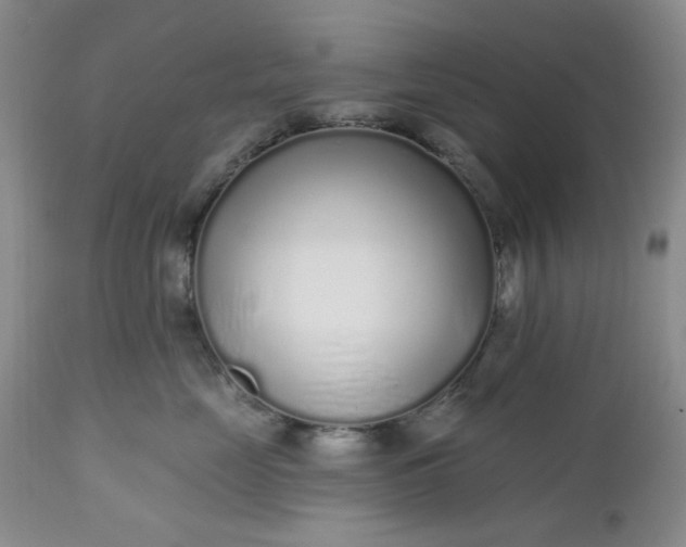 X0000112520669200908311358