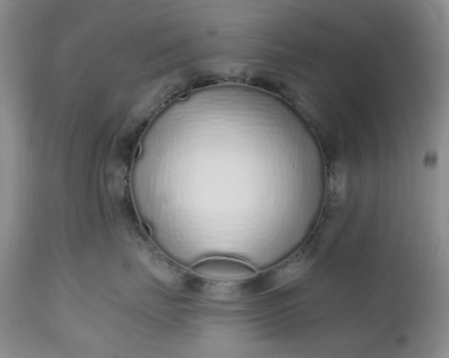 X0000112520671200908311358