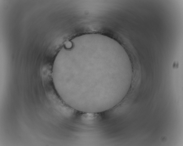 X0000112520672200908311359