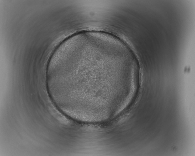 X0000112520673200908311358