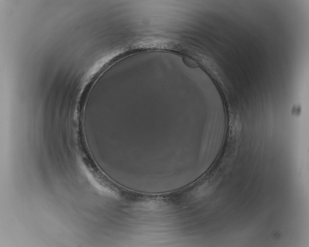 X0000112520674200908311358
