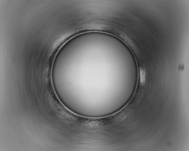X0000112520675200908311358