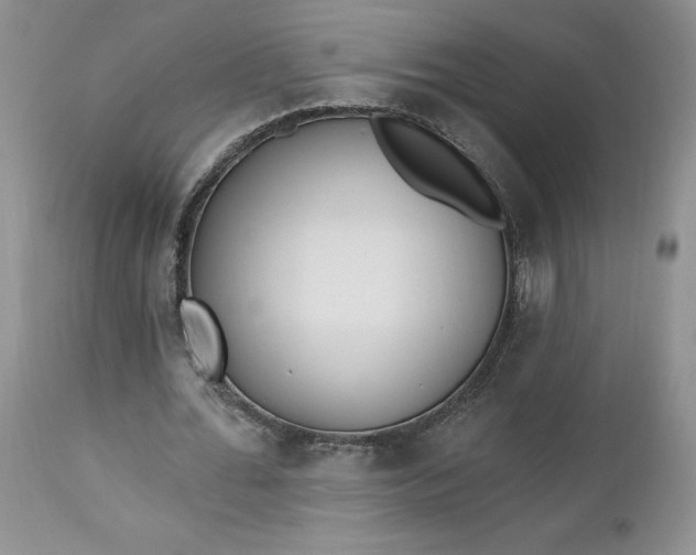 X0000112520676200908311358