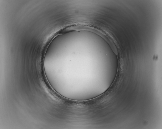 X0000112520677200908311358