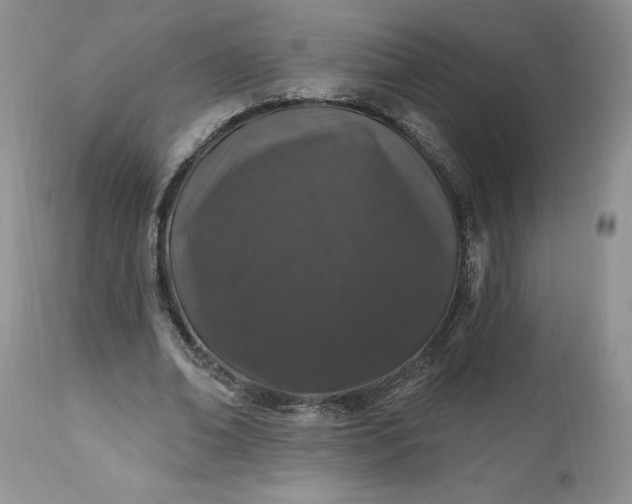 X0000112520678200908311358