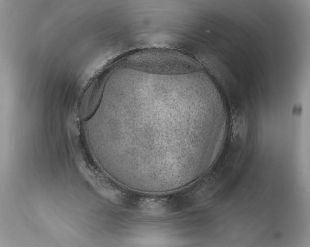 X0000112520680200908311358