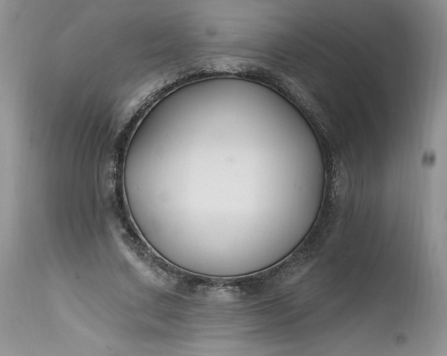 X0000112520683200908311358