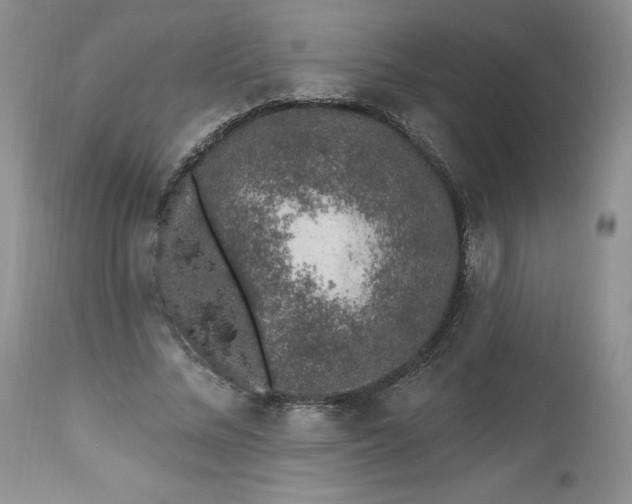 X0000112520684200908311358