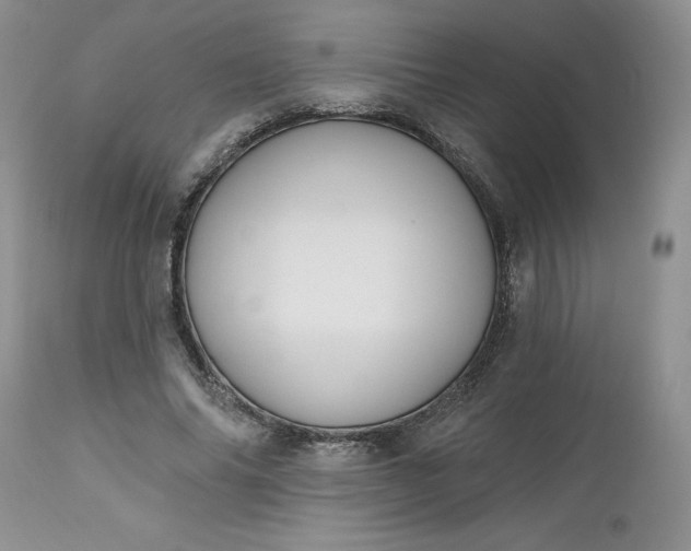 X0000112520686200908311358