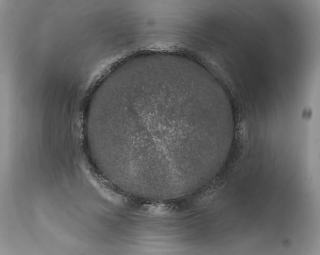 X0000112520688200908311358