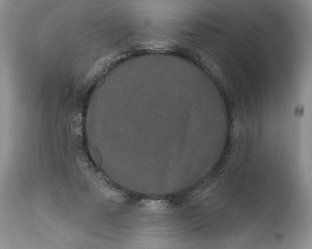 X0000112520689200908311358