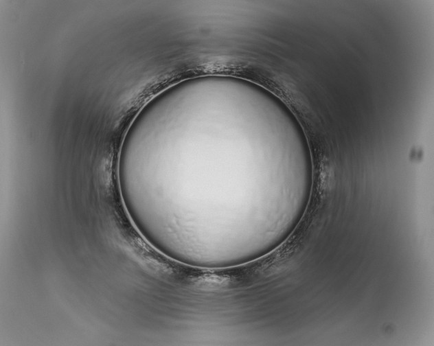 X0000112520691200908311358