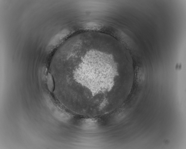 X0000112520692200908311358