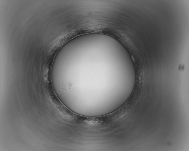 X0000112520693200908311358