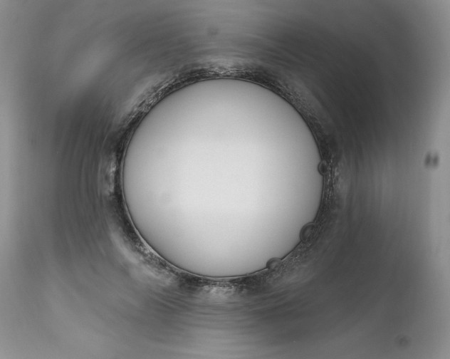 X0000112520694200908311358