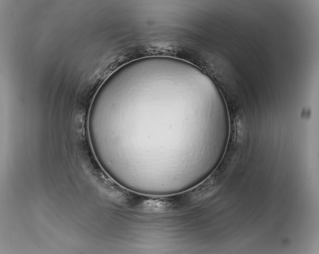 X0000112520699200908311357