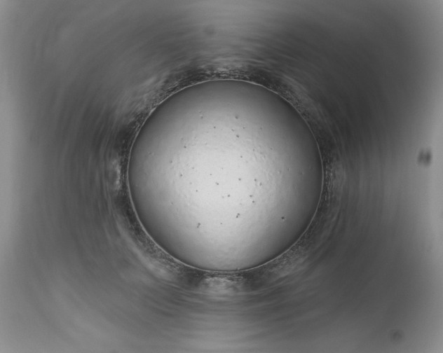 X0000112520703200908311357