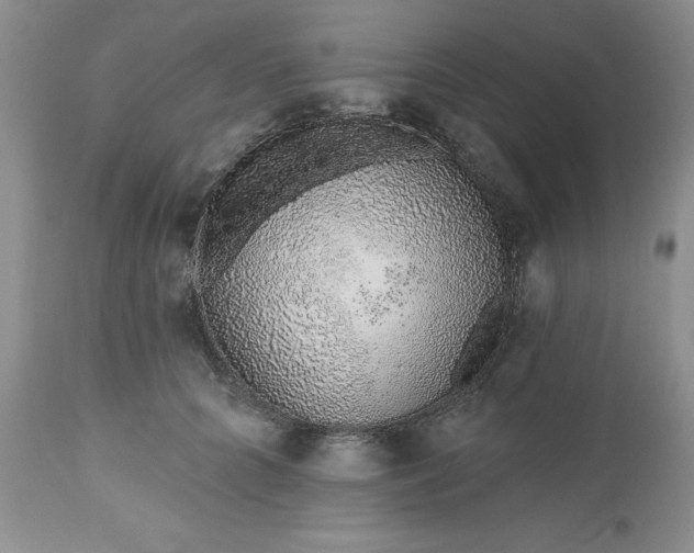 X0000112520704200908311357