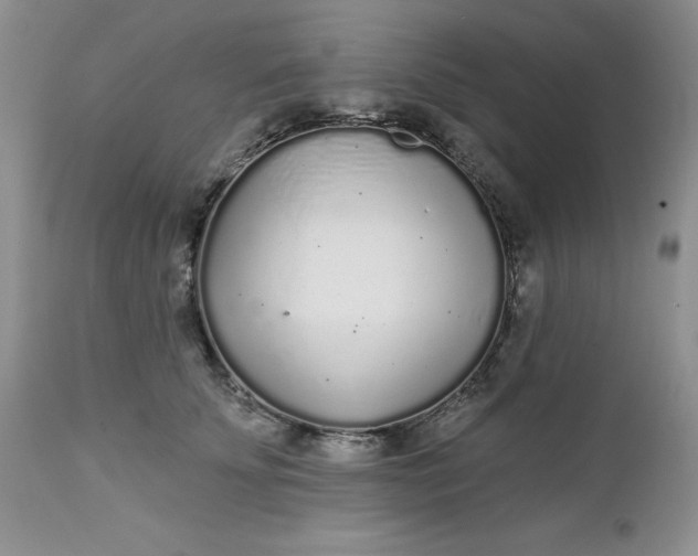 X0000112520707200908311357