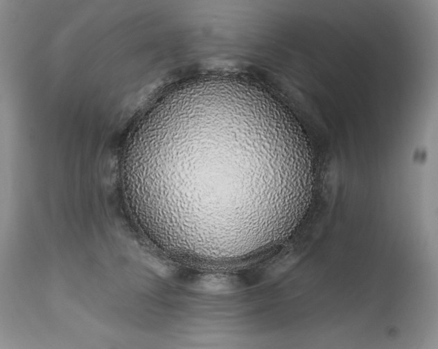 X0000112520708200908311357