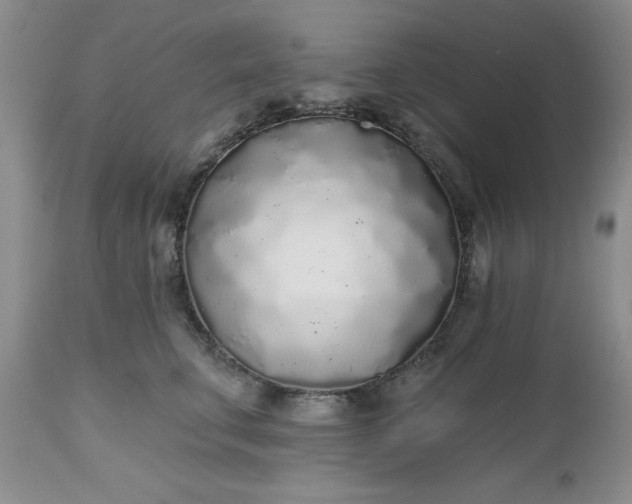 X0000112520711200908311357
