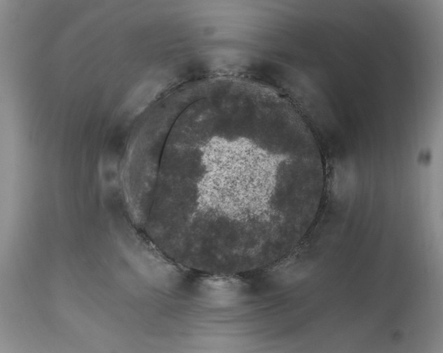 X0000112520712200908311357