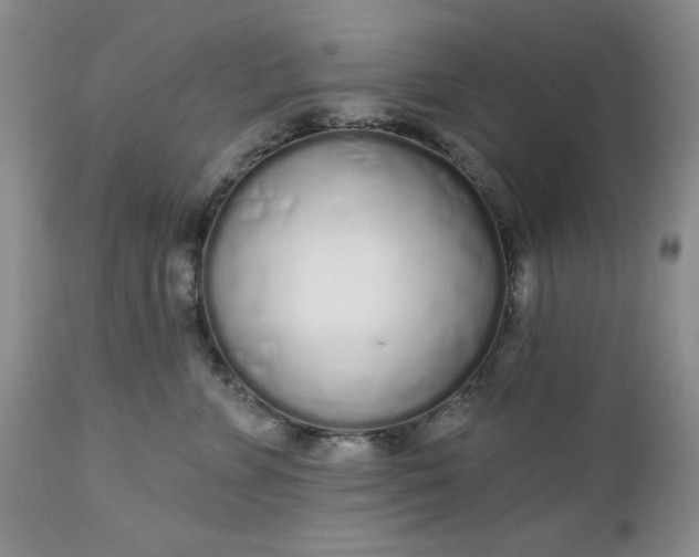 X0000112520715200908311357