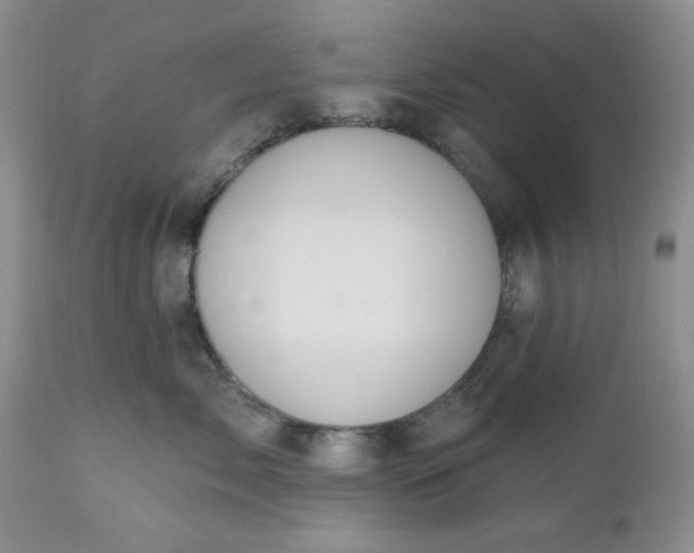 X0000112520717200908311357