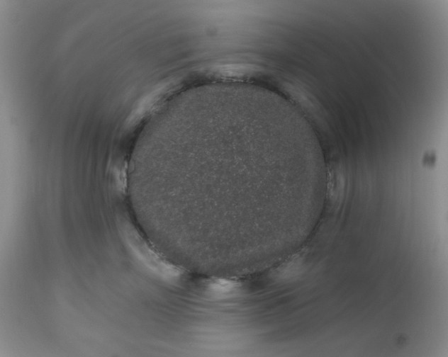 X0000112520718200908311357