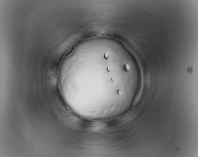 X0000112520719200908311357