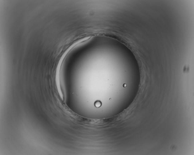 X0000112520720200908311357
