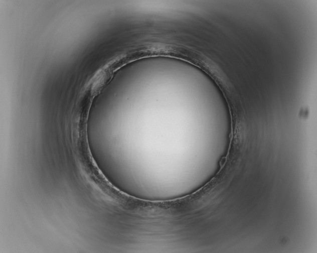 X0000112520722200908311357