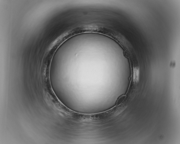 X0000112520723200908311357