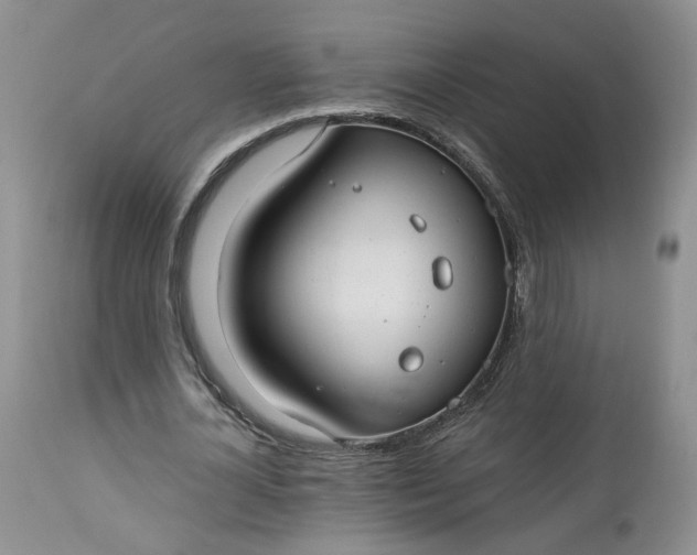X0000112520724200908311357