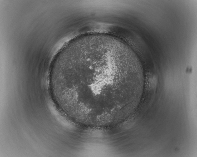 X0000112520726200908311357