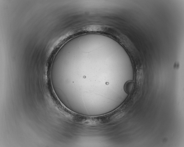 X0000112520727200908311357