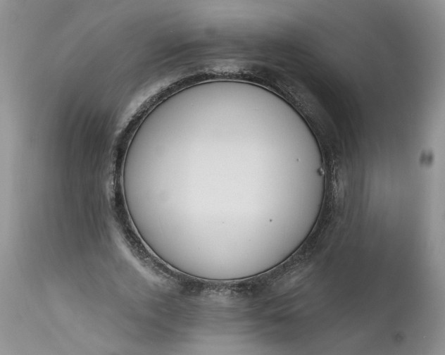 X0000112520728200908311357