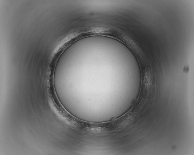 X0000112520730200908311357