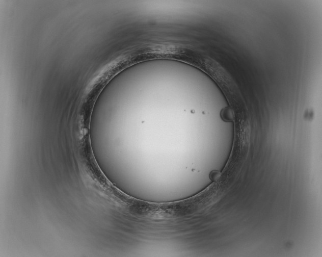 X0000112520731200908311357