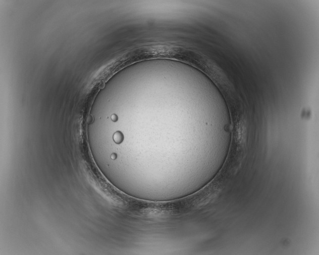 X0000112520733200908311357